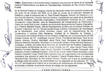 Minuta para consulta indígena