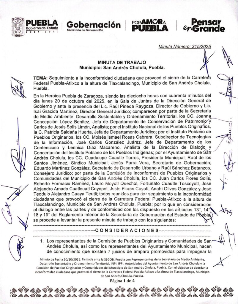 Minuta para consulta indígena